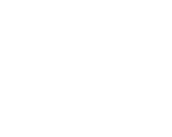 ford_logo_white